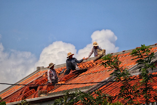 roof repair