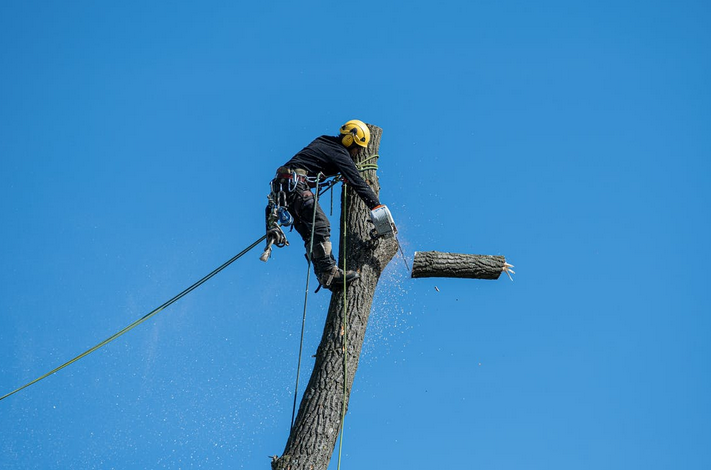 cutting wood